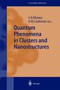 Quantum Phenomena in Clusters and Nanostructures (Springer Series in Cluster Physics)