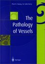 The Pathology of Vessels