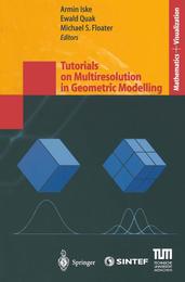 Tutorials on Multiresolution in Geometric Modelling: Summer School Lecture Notes (Mathematics and Visualization)