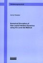 Numerical Simulation of Gas-liquid Interface Dynamics Using the Level Set Method (Berichte aus der Stromungstechnik)