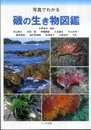 写真でわかる磯の生き物図鑑