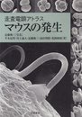 走査電顕アトラスマウスの発生