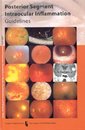 Posterior Segment Intraocular Inflammation: Guidelines