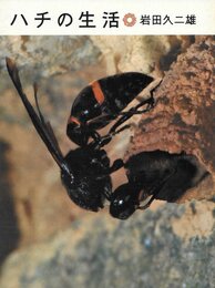 ハチの生活 (岩波科学の本)