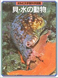 貝・水の動物 (オルビス学習科学図鑑)