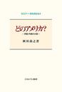 どのアメリカ?:矛盾と均衡の大国 (セミナー・知を究める 4)