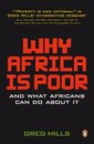 Why Africa is Poor: And What Africans Can Do About It