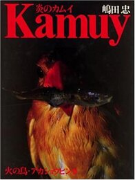 炎のカムイ: 火の鳥・アカショウビン2