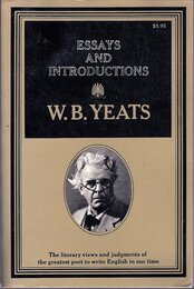 ESSAYS & INTRODUCTIONS