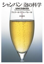 シャンパン 泡の科学