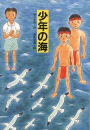 少年の海 (文研じゅべにーる)
