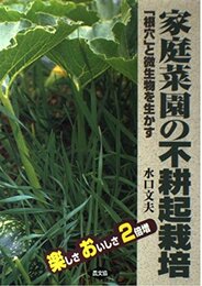 家庭菜園の不耕起栽培: 楽しさおいしさ2倍増 根穴と微生物を生かす