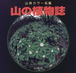 山の植物誌 (山渓カラー名鑑)