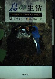 鳥の生活