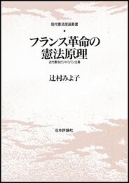 フランス革命の憲法原理: 近代憲法とジャコバン主義 (現代憲法理論叢書)