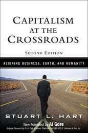 Capitalism at the Crossroads: Aligning Business Earth and Humanity