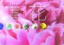花: 俳句作品集 (パレットシリーズ)