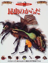 昆虫のからだ: 小さなからだに組み込まれた機能を模型断面でみる (しくみ発見博物館 2)