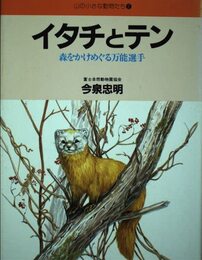 イタチとテン: 森をかけめぐる万能選手 (山の小さな動物たち 2)