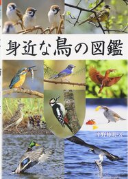 身近な鳥の図鑑