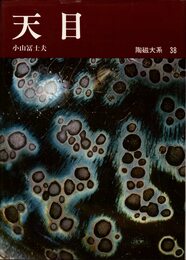 陶磁大系 38―38 天目