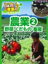 農業(2): 野菜 くだもの 畜産