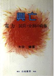 興亡: 電力民営・分割の葛藤