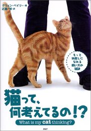 猫って、何考えてるの!?
