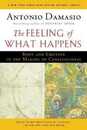 The Feeling of What Happens: Body and Emotion in the Making of Consciousness
