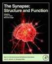 The Synapse: Structure and Function (Neuroscience-net Reference Book)