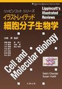 イラストレイテッド細胞分子生物学 (リッピンコットシリーズ)