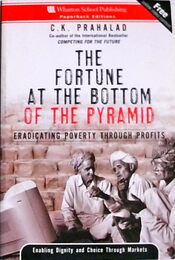 The Fortune at the Bottom of the Pyramid