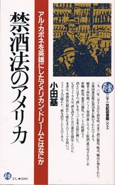禁酒法のアメリカ (21世紀図書館 44)