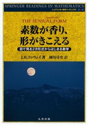 素数が香り、形がきこえる-目でみる2次形式