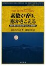素数が香り、形がきこえる-目でみる2次形式