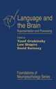 Language and the Brain: Representation and Processing (Foundations of Neuropsychology)