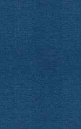 The Counselor as Gatekeeper: Social Interaction in Inverviews (Language Thought and Culture)