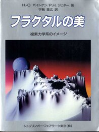 フラクタルの美: 複素力学系のイメージ