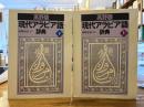 高野版 現代アラビア語辞典 上下2冊