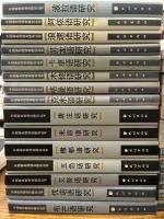 中国新発現語言研究叢書　30冊