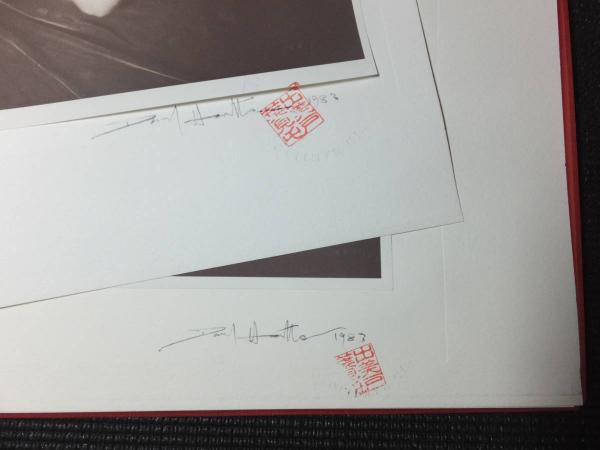 David Hamilton『PORTFOLIO』直筆サイン入り 限定豪華写真集 David Hamilton『PORTFOLIO』直筆サイン入り 限定豪華写真集
