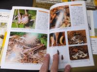 完訳「ファーブル昆虫記：全20冊揃い