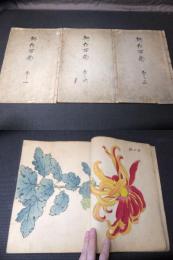 明治時代「契花百菊」全３巻揃い　木版画