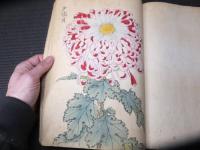 明治時代「契花百菊」全３巻揃い　木版画
