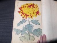 明治時代「契花百菊」全３巻揃い　木版画
