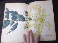 明治時代「契花百菊」全３巻揃い　木版画
