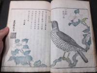 葛飾北斎他画　「日光山志」　5冊揃い　
