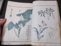 葛飾北斎他画　「日光山志」　5冊揃い　