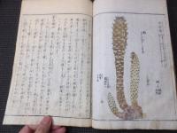 葛飾北斎他画　「日光山志」　5冊揃い　