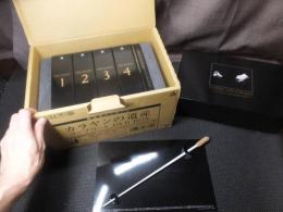 カラヤンの遺産 DVD-BOX 指揮棒等揃い 
